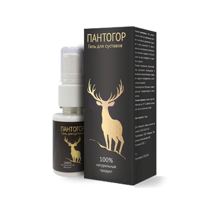 ❚ Pantogor - joint gel